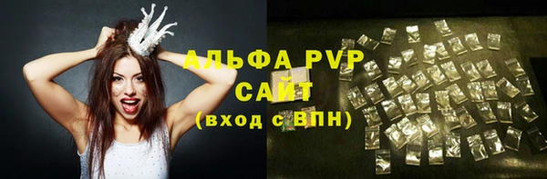 МДПВ Каменногорск