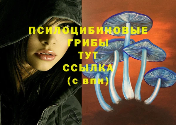 МДПВ Каменногорск