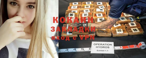 МДПВ Каменногорск