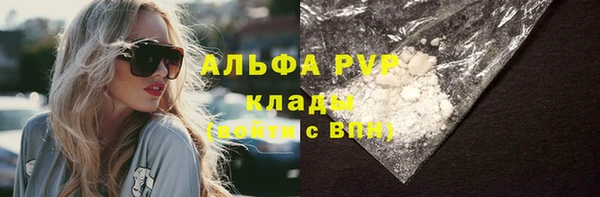 амф Карпинск